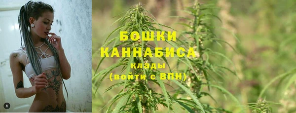 ГАЛЛЮЦИНОГЕННЫЕ ГРИБЫ Абдулино